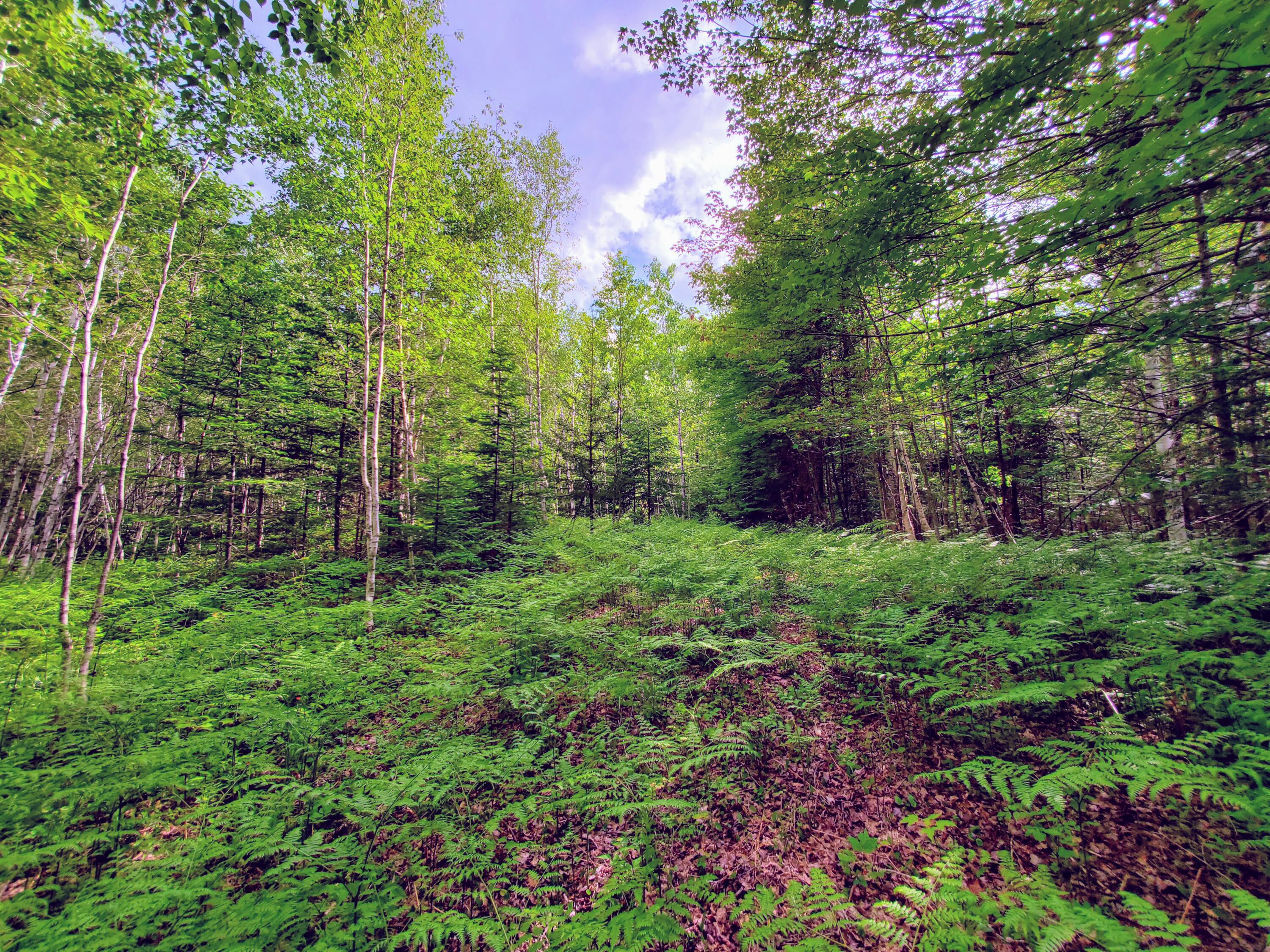 M1 L14 Old County Road New Portland, ME 04961 - Photo 20 of 26 20220611_161111
