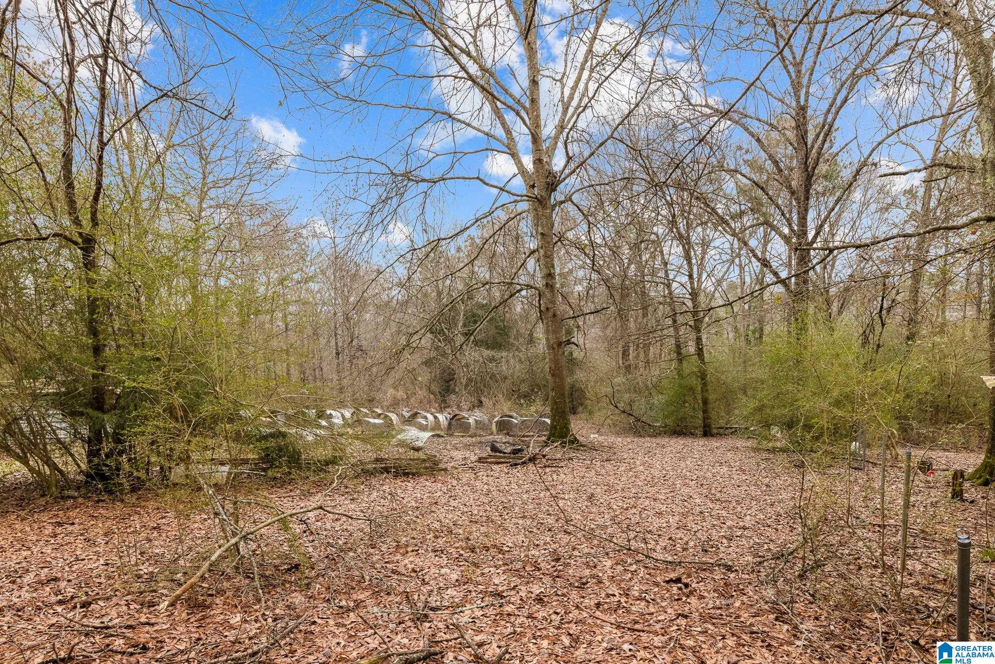 814 Deer Trace Road Pell City, AL 35125 - Photo 28 of 40
