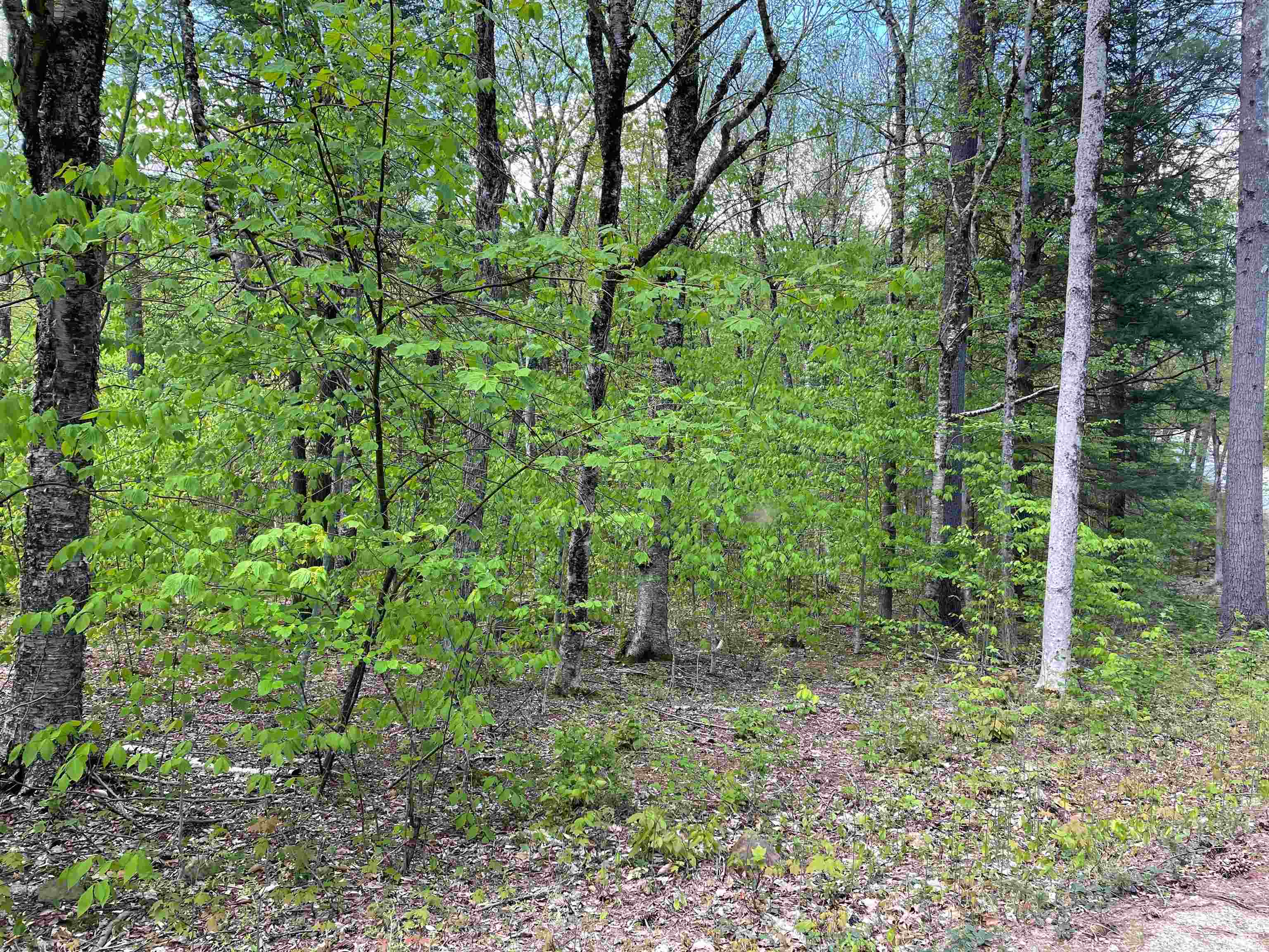 5 Lane Road Holderness, NH 03245 - Photo 2 of 6