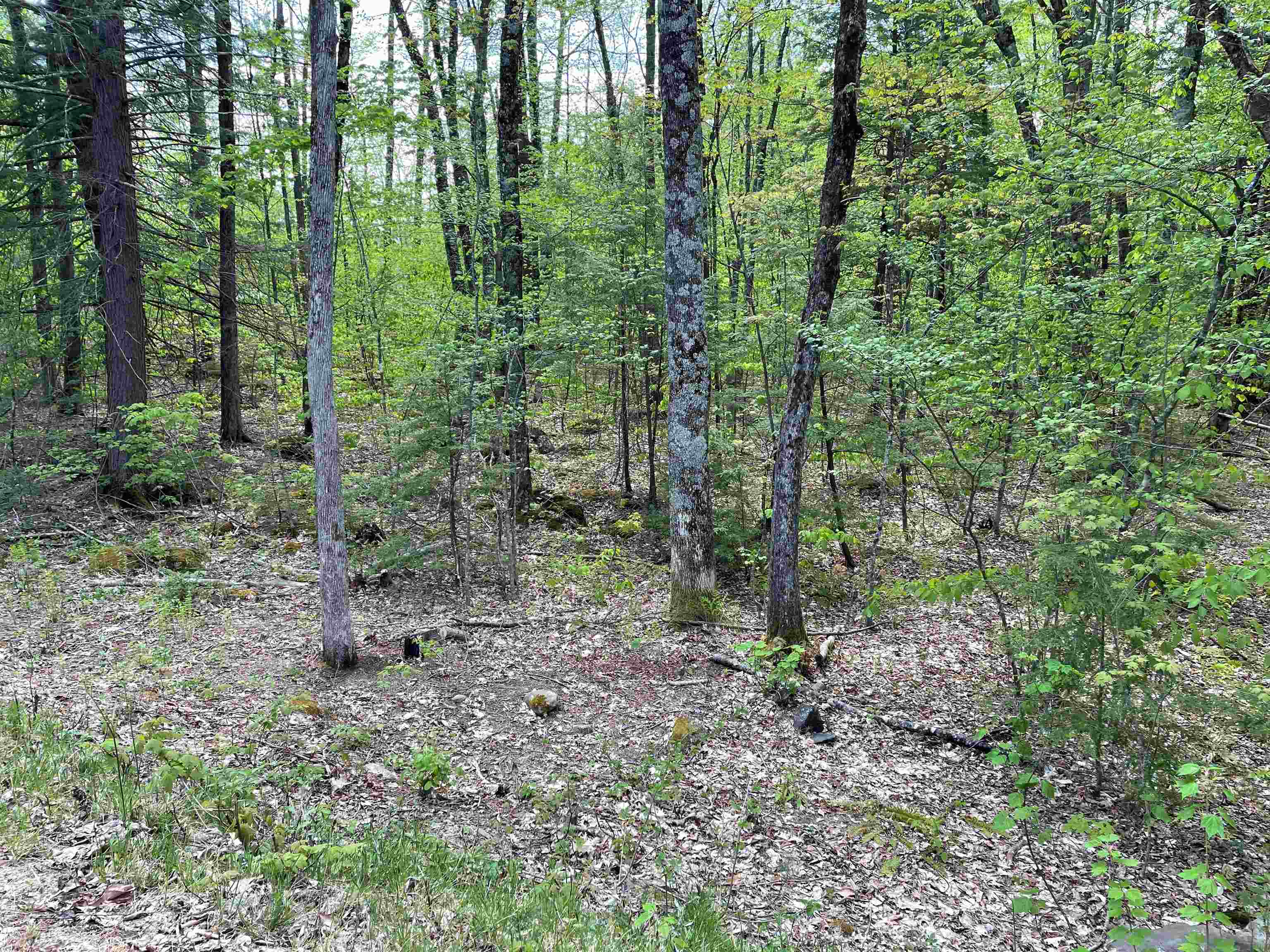 5 Lane Road Holderness, NH 03245 - Photo 3 of 6