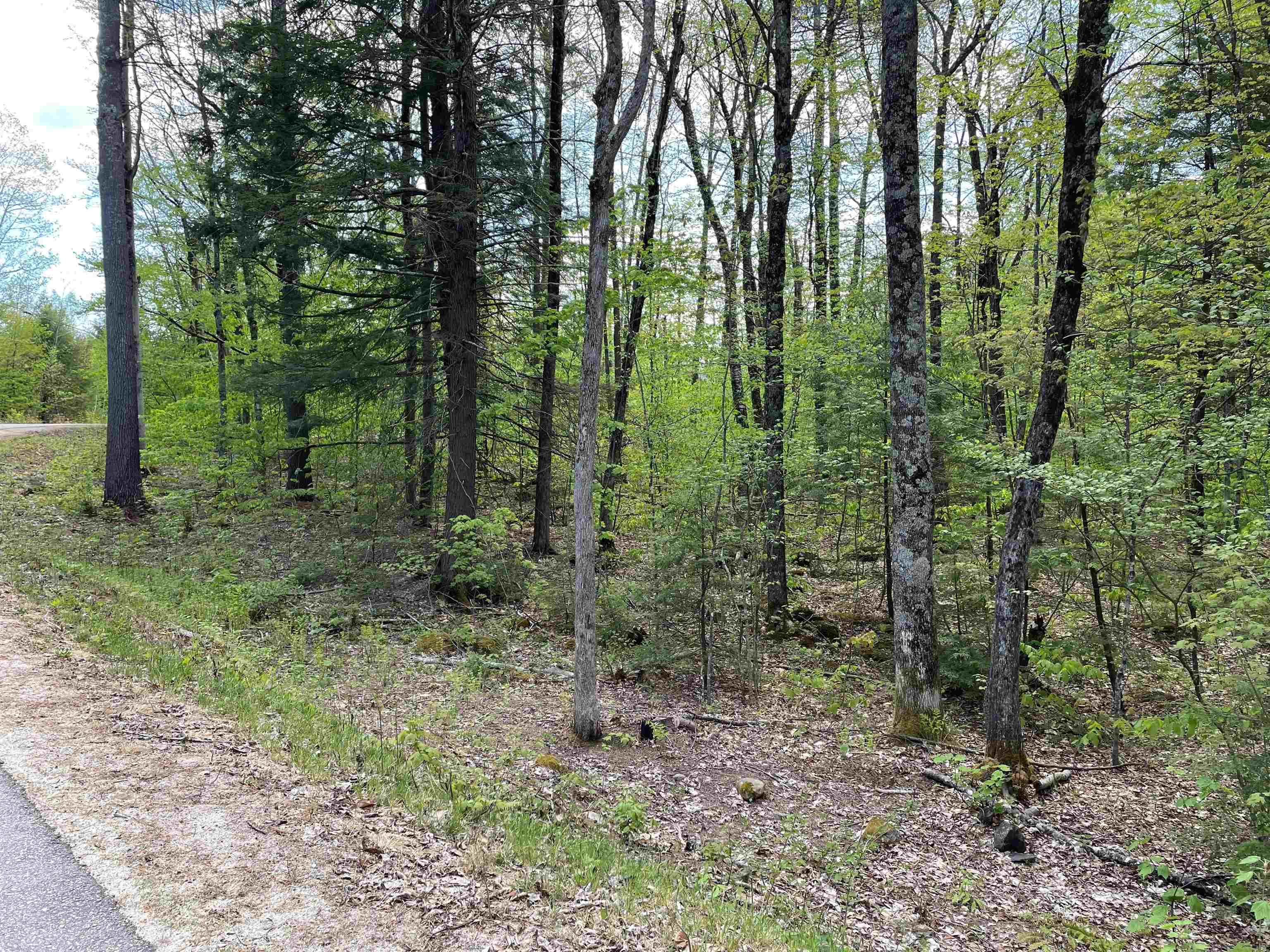 5 Lane Road Holderness, NH 03245 - Photo 4 of 6
