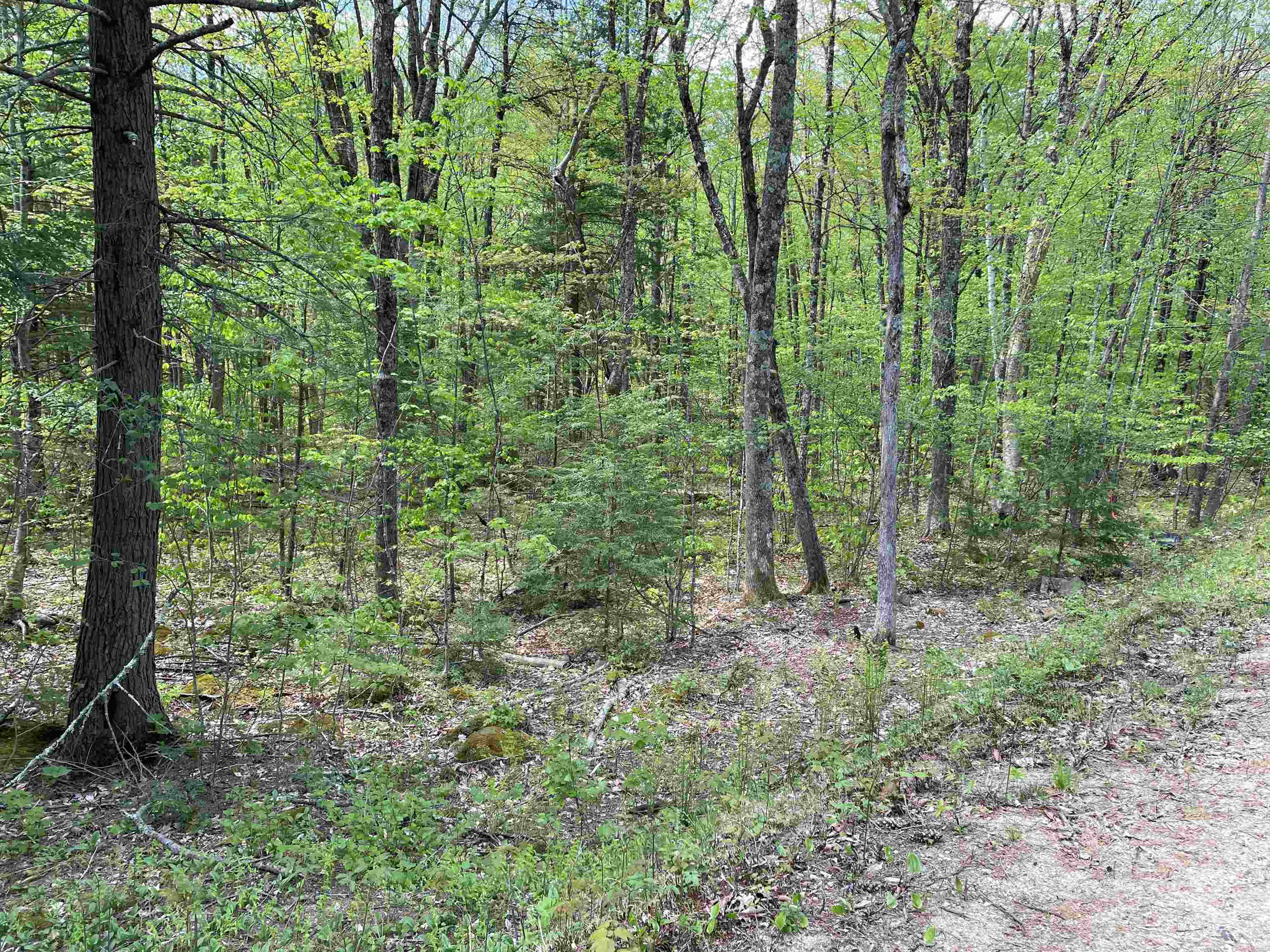 5 Lane Road Holderness, NH 03245 - Photo 6 of 6