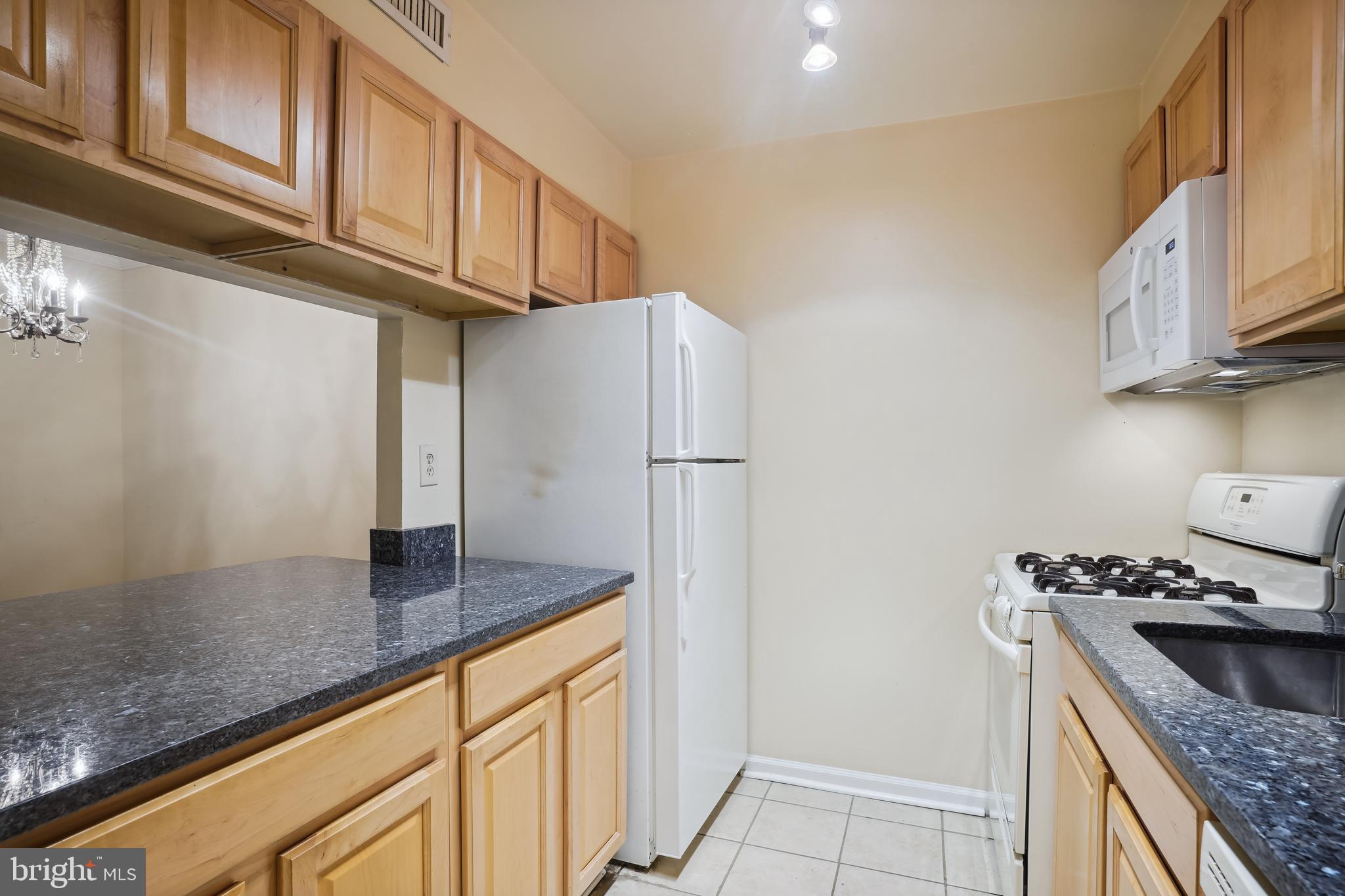 5806 Cove Landing Road, Unit 202 Burke, VA 22015 - Photo 11 of 30 Kitchen