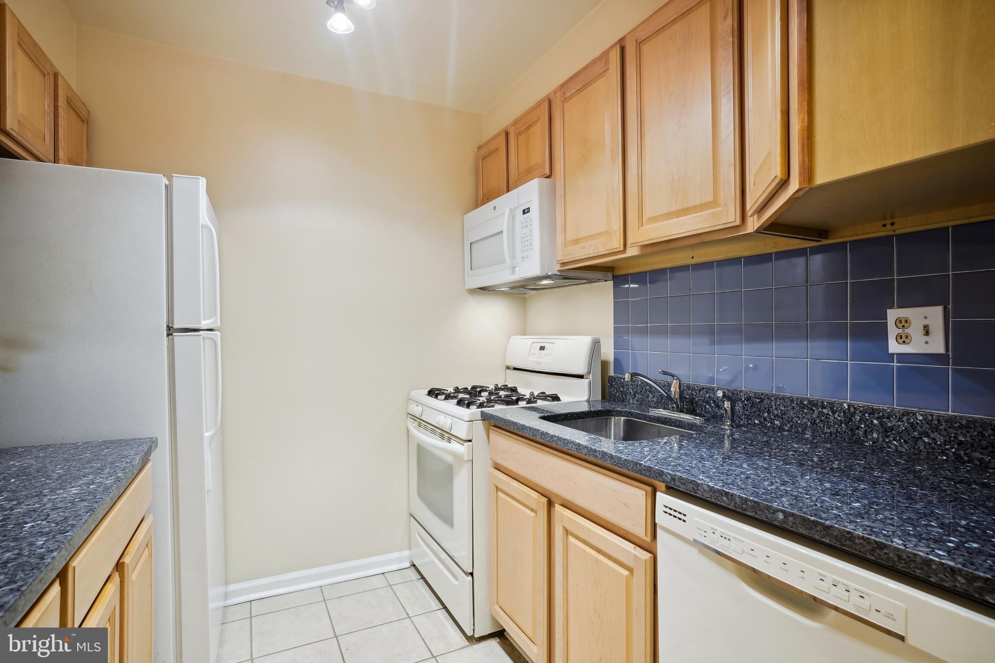 5806 Cove Landing Road, Unit 202 Burke, VA 22015 - Photo 10 of 30 Kitchen