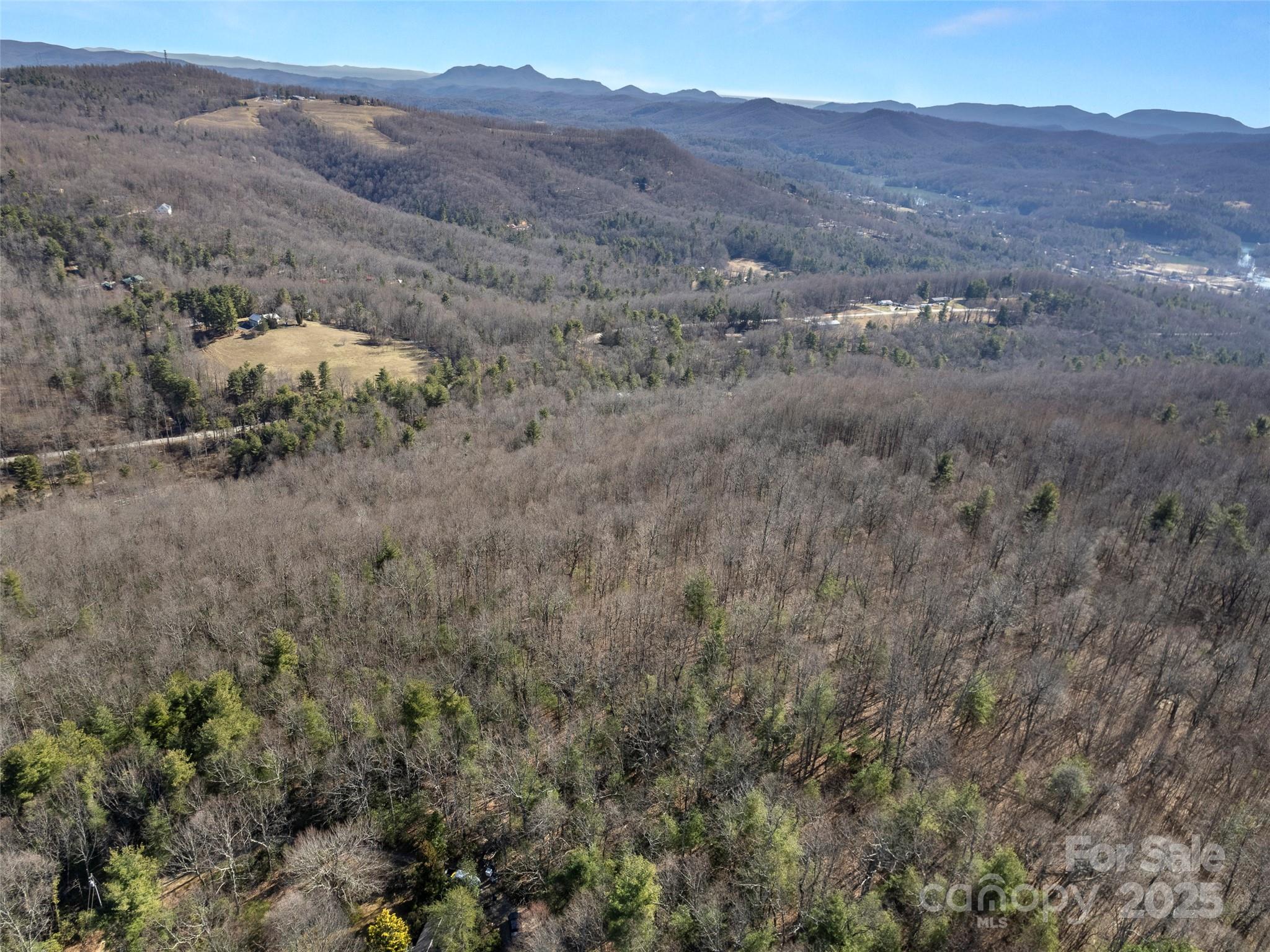 0 Mt Olivet Road Zirconia, NC 28790 - Photo 1 of 11 a view of a dry field with trees in the background