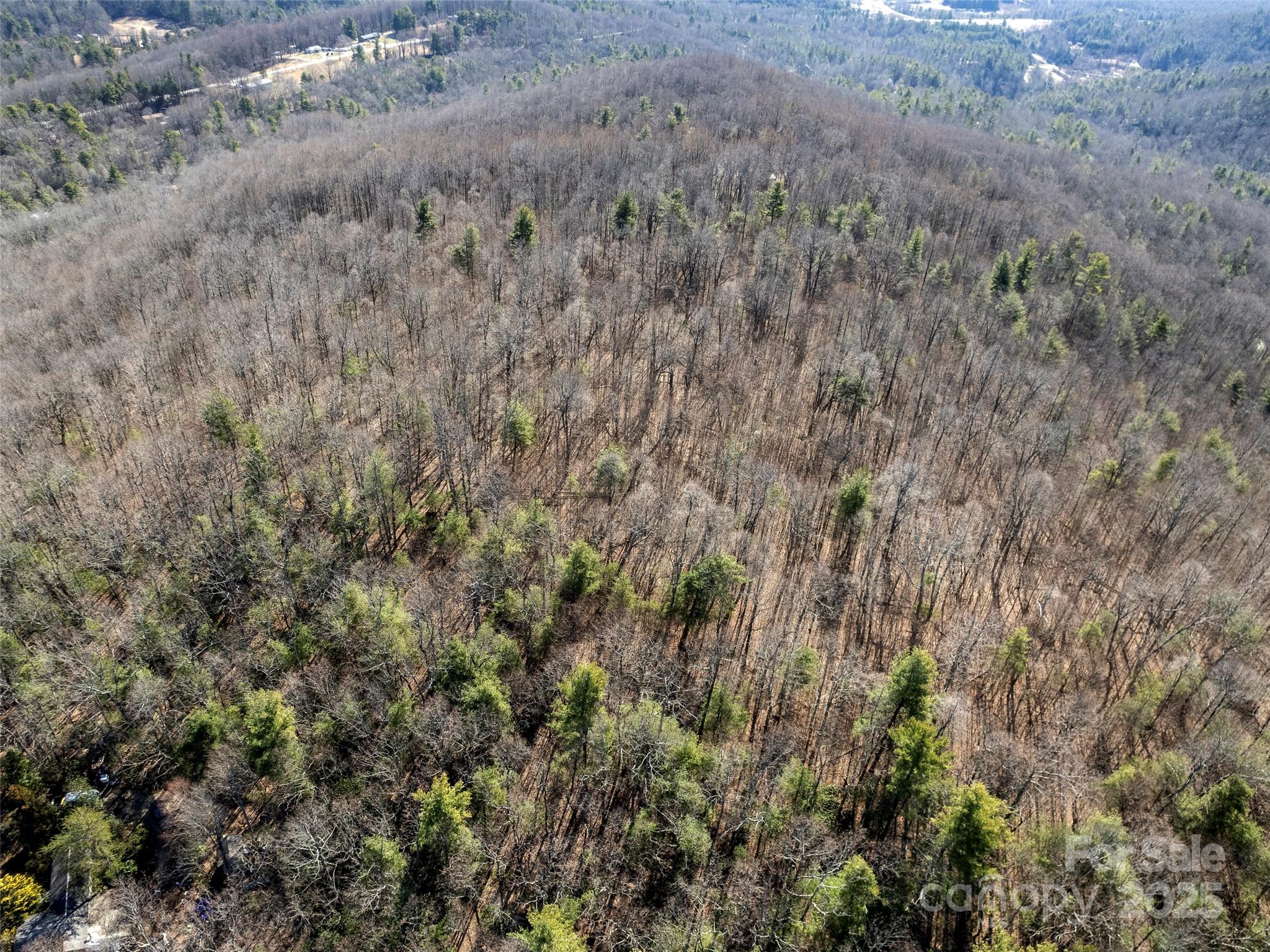 0 Mt Olivet Road Zirconia, NC 28790 - Photo 2 of 11 a view of a dry yard
