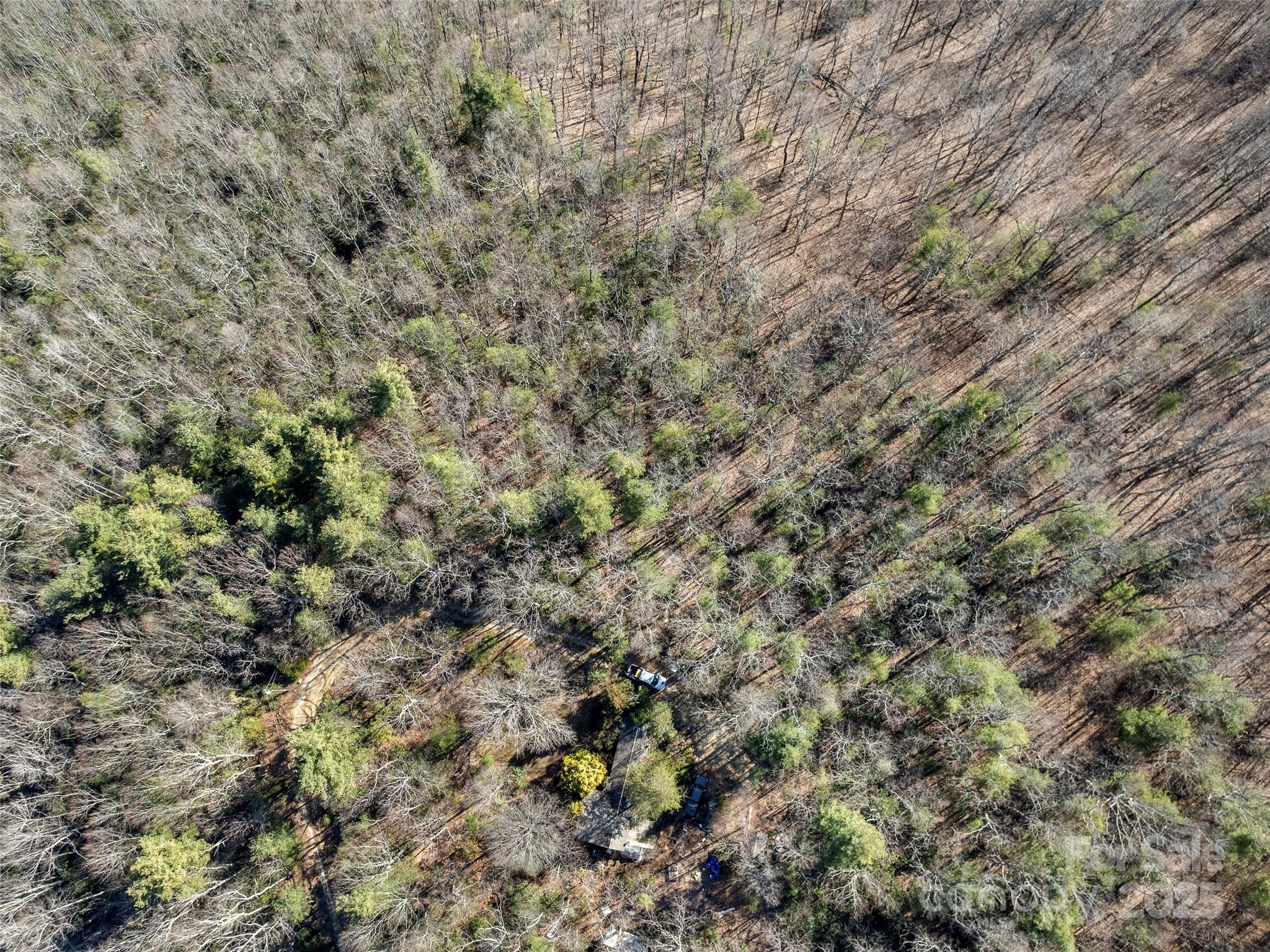 0 Mt Olivet Road Zirconia, NC 28790 - Photo 3 of 11 a view of a field