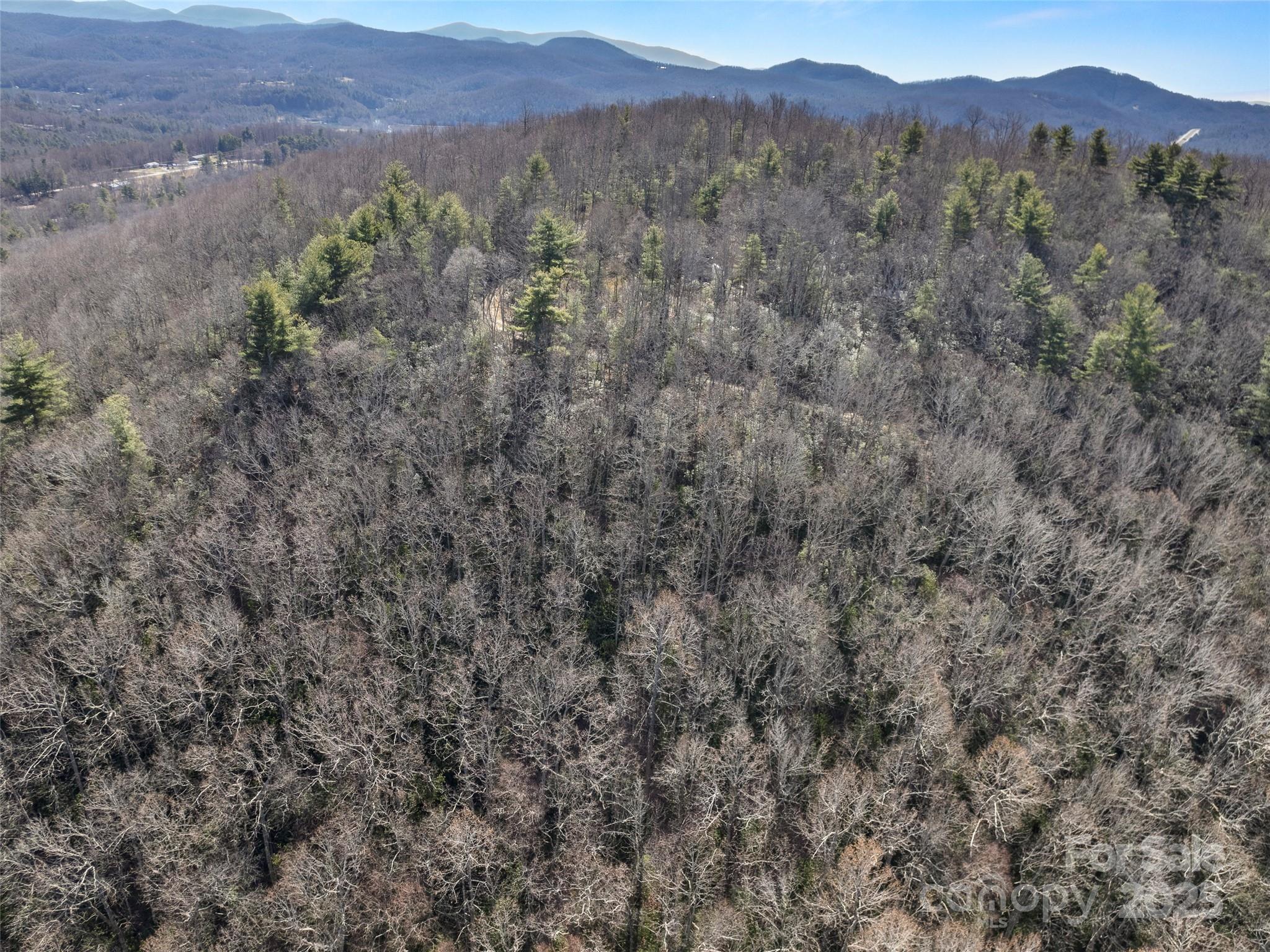 0 Mt Olivet Road Zirconia, NC 28790 - Photo 4 of 11 a view of a lush green hillside and a houses