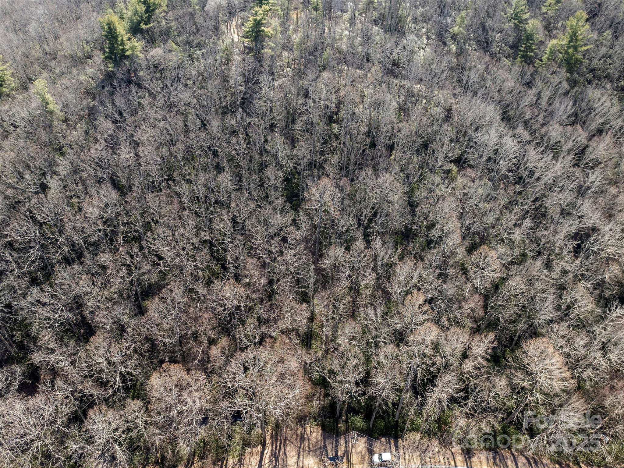 0 Mt Olivet Road Zirconia, NC 28790 - Photo 5 of 11 a view of a covered with green space