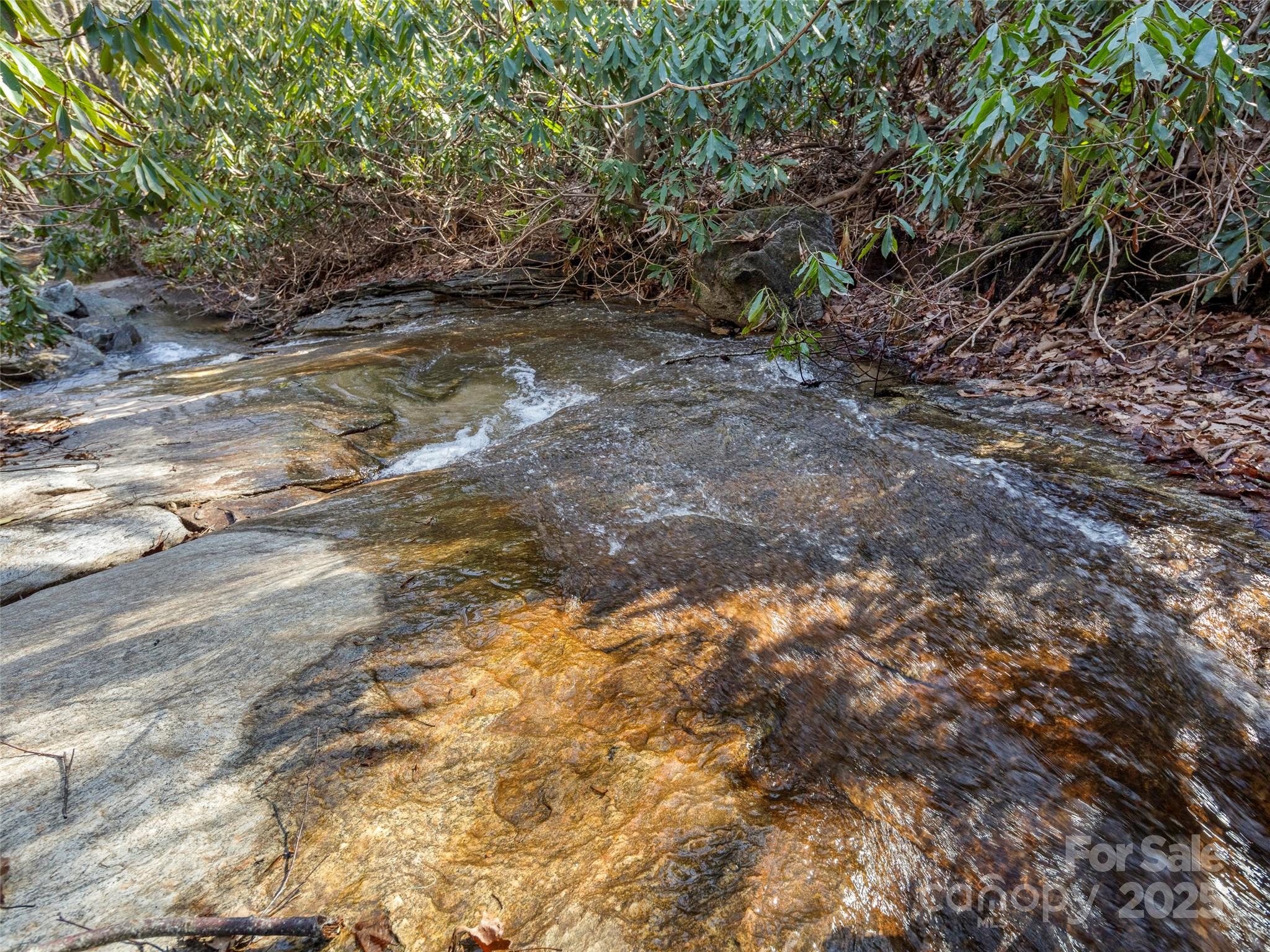 0 Mt Olivet Road Zirconia, NC 28790 - Photo 7 of 11 a view of a yard with plants and trees