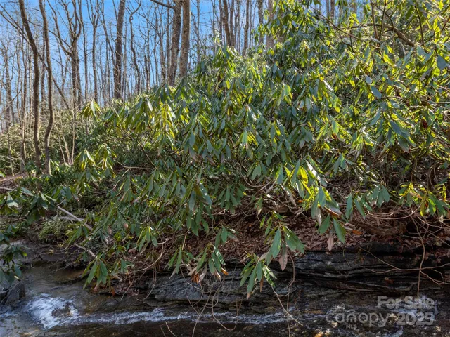 a backyard of a house