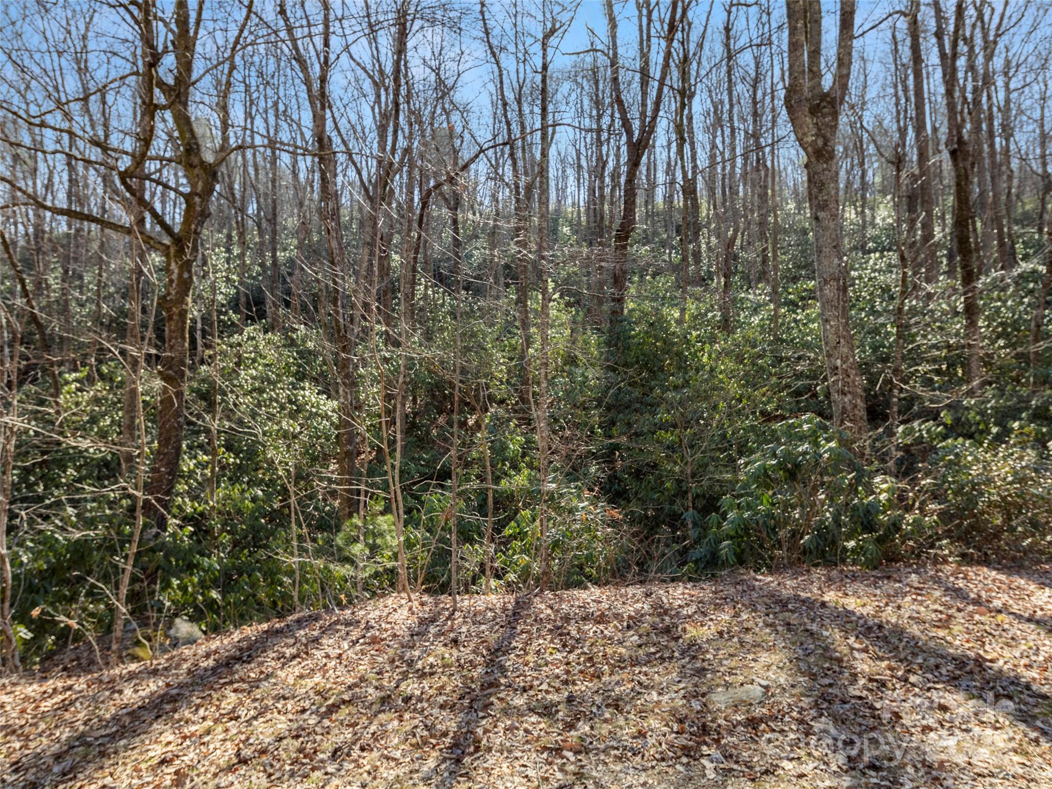 0 Mt Olivet Road Zirconia, NC 28790 - Photo 10 of 11 a view of a yard with plants and trees