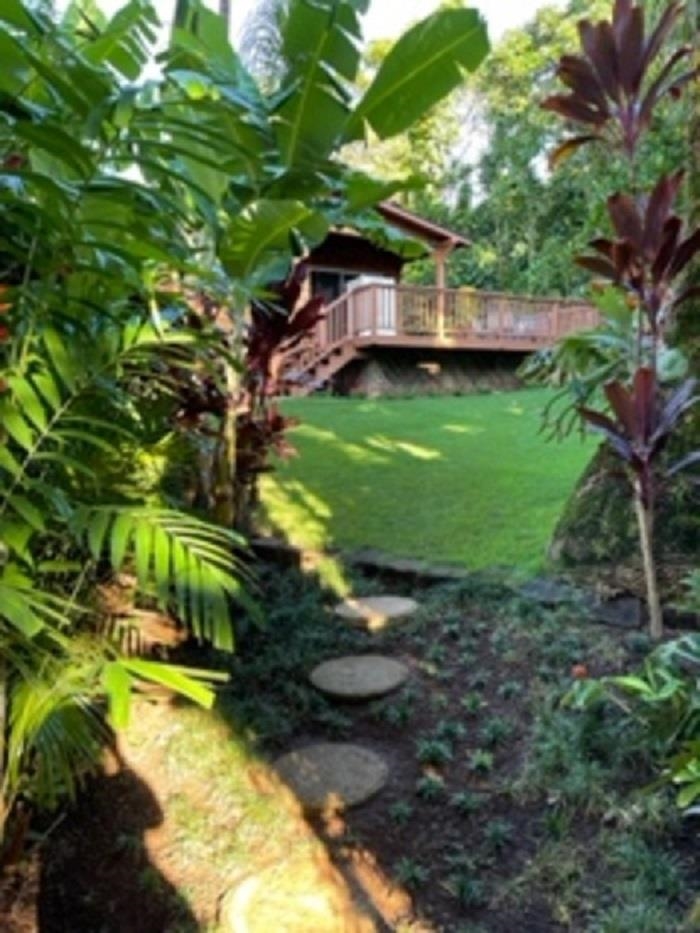 321 West Kuiaha Road Haiku, HI 96708 - Photo 7 of 27 a backyard of a house with a yard and large tree