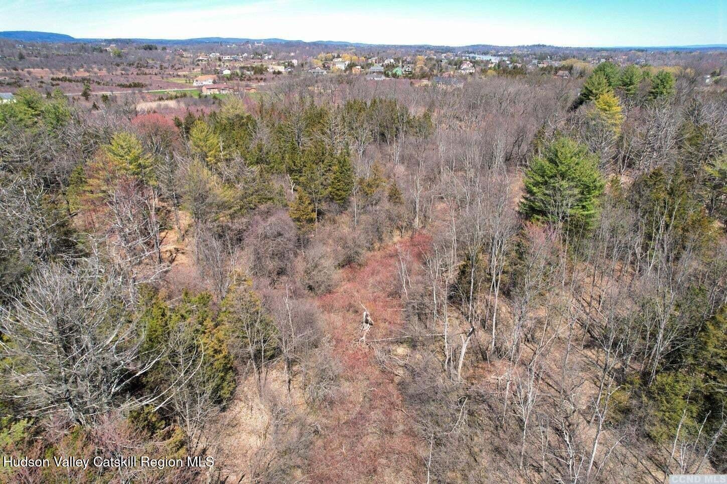70 Union Street Athens, NY 12015 - Photo 12 of 18 a view of a city with lush green forest