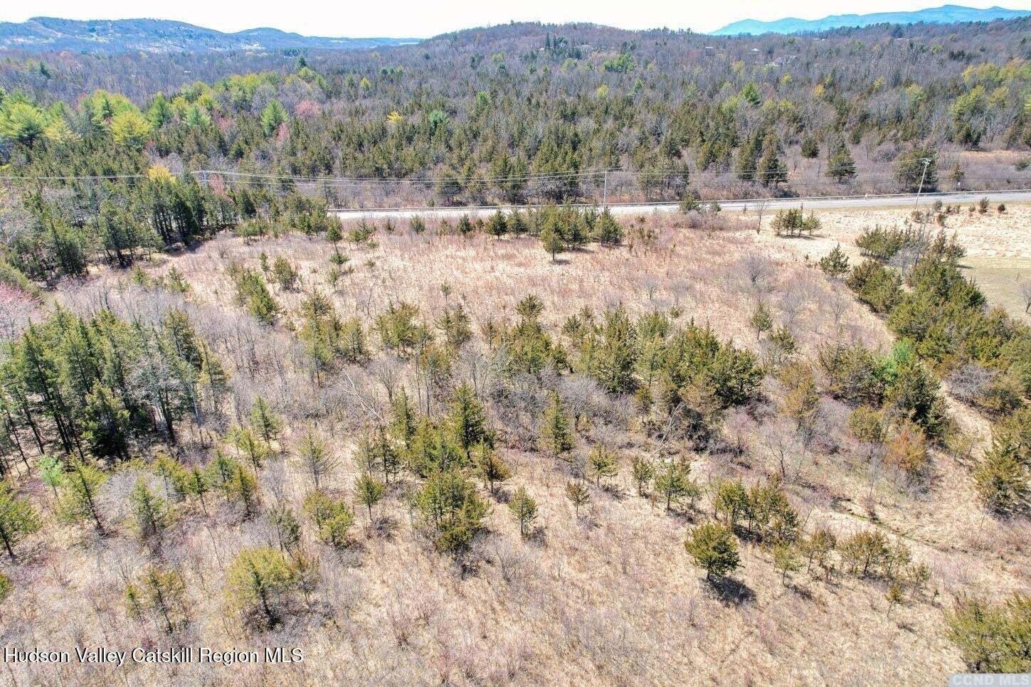 70 Union Street Athens, NY 12015 - Photo 14 of 18 a view of a dry yard with trees