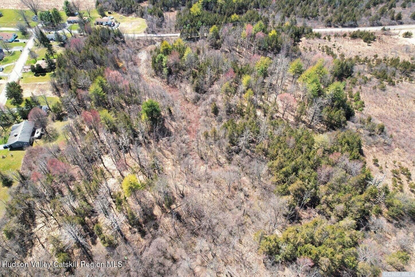 70 Union Street Athens, NY 12015 - Photo 8 of 18 a view of a forest with a tree