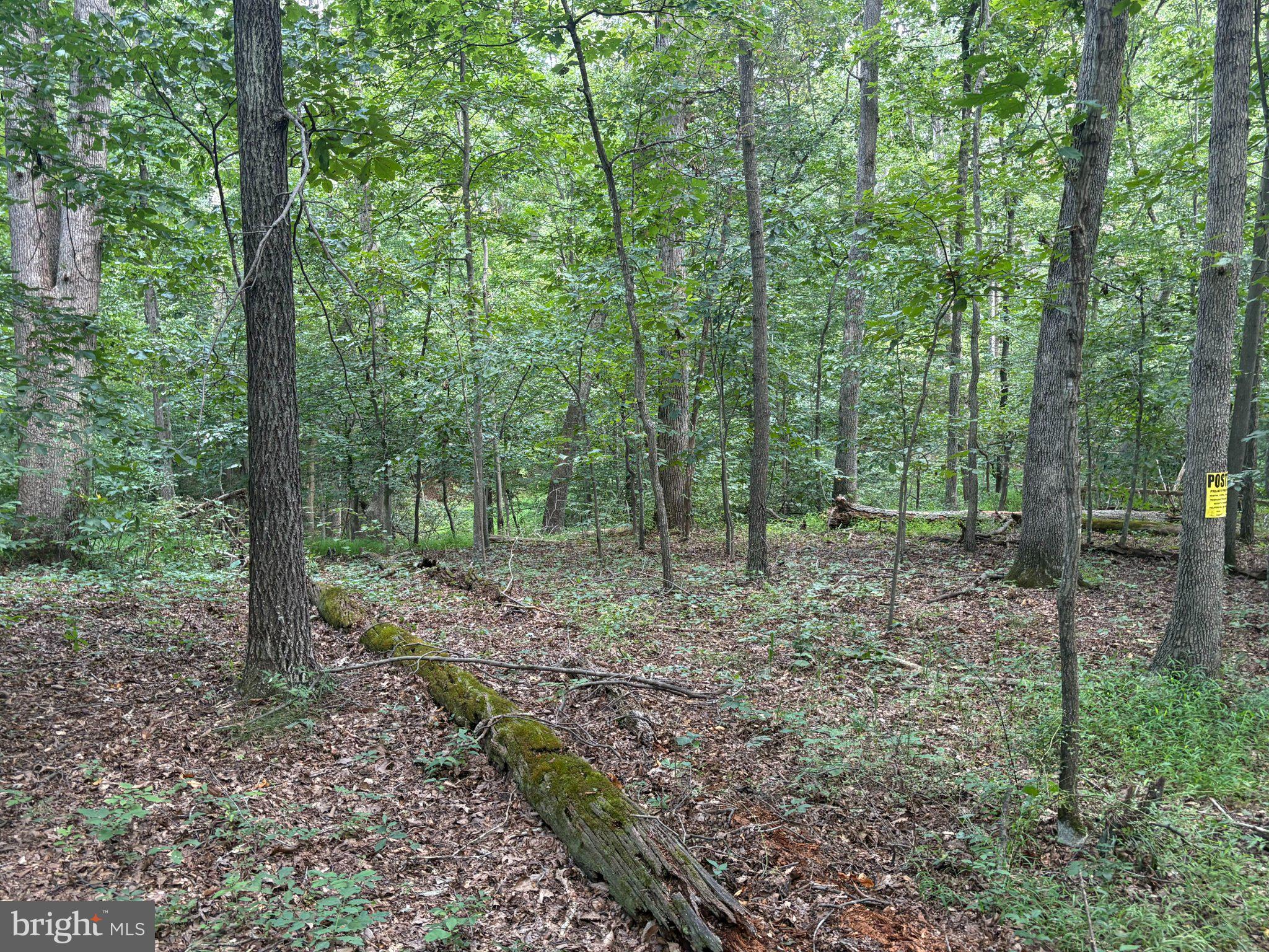 0 Union Mill Road Clifton, VA 20124 - Photo 6 of 18 Gallery Image 6