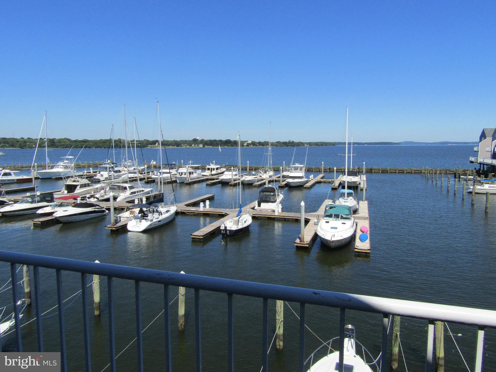 Awesome marina & water view from your balcony