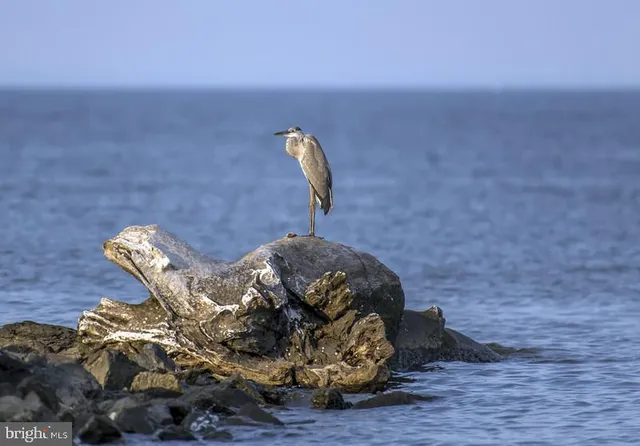 a park view with a bench and trees
