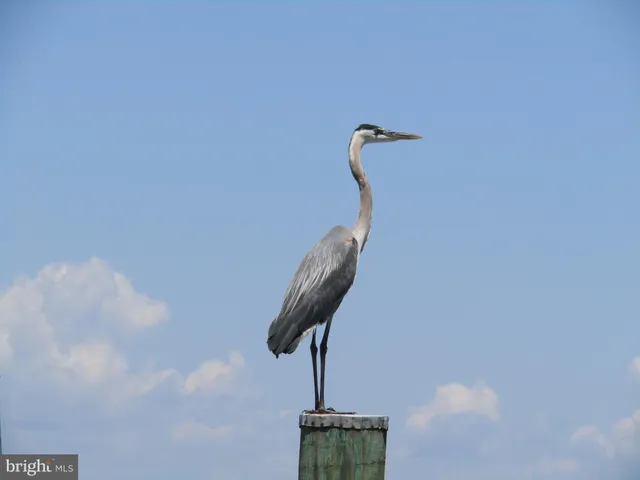 $2,200 | 421 D Concord Street, Havre de Grace, MD 21078