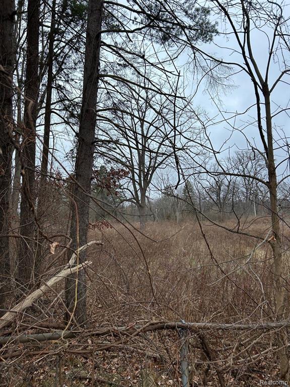 3010 Hunter Road Brighton, MI 48114 - Photo 3 of 4