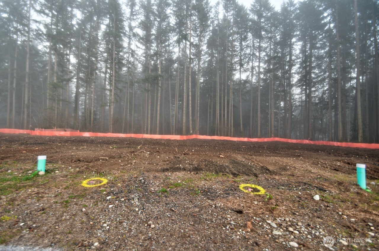 1624 Decatur Street Southwest Olympia, WA 98502 - Photo 3 of 9 a backyard of a house with table and chairs