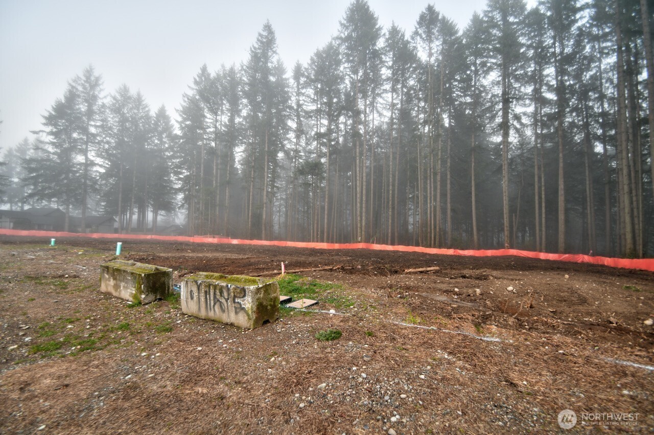 1624 Decatur Street Southwest Olympia, WA 98502 - Photo 4 of 9 a view of a backyard with trees