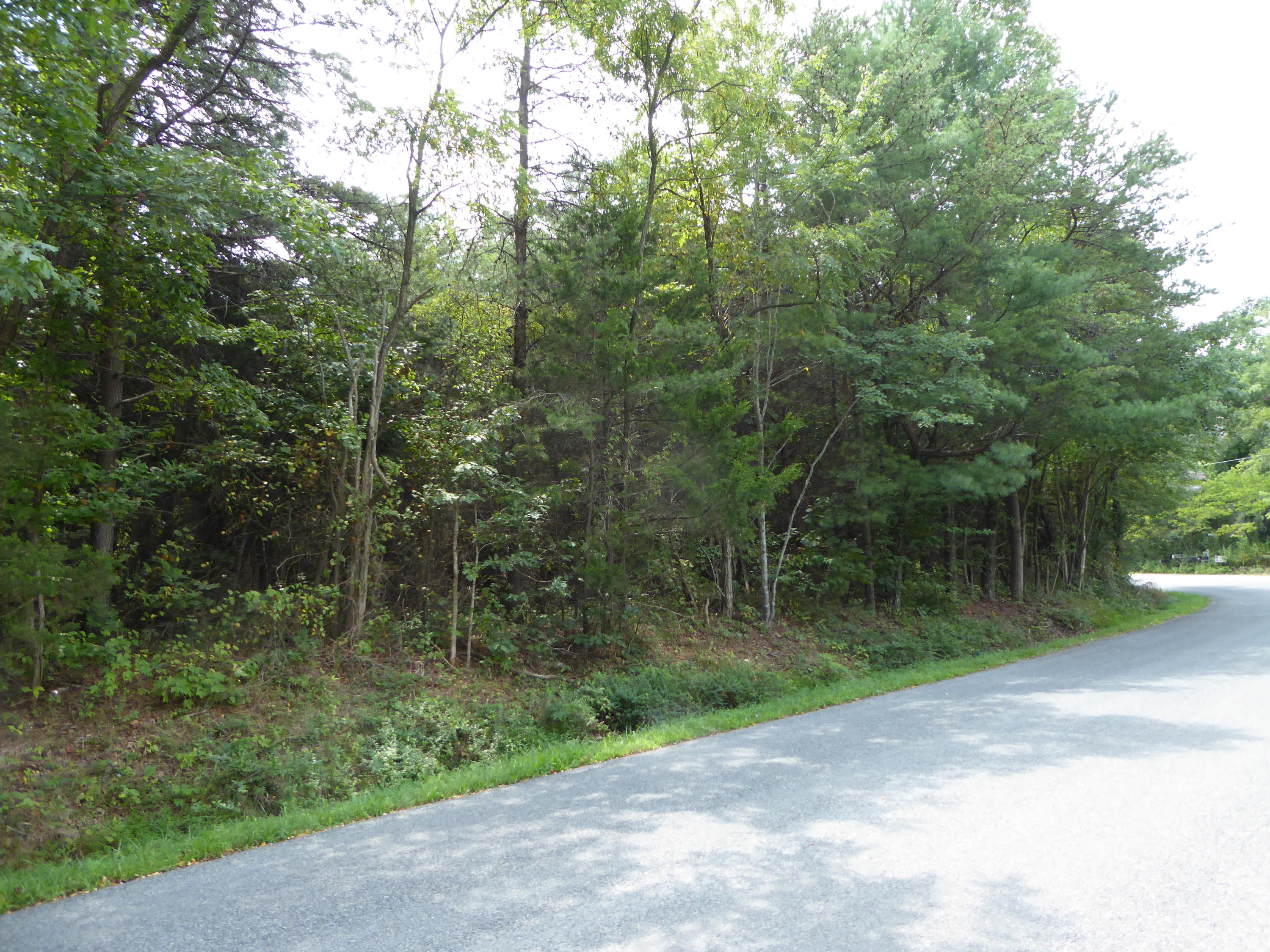 0 Double Branch Road Rocky Mount, VA 24151 - Photo 4 of 5 4