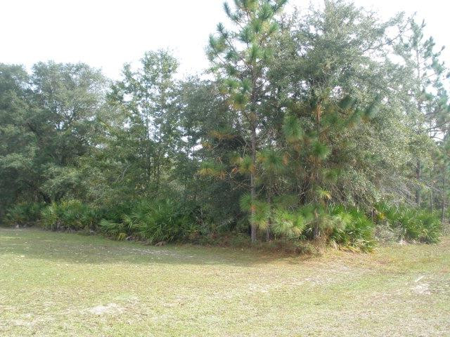 548 Buck Swamp Road Brunswick, GA 31523 - Photo 1 of 1 Gallery Image 1