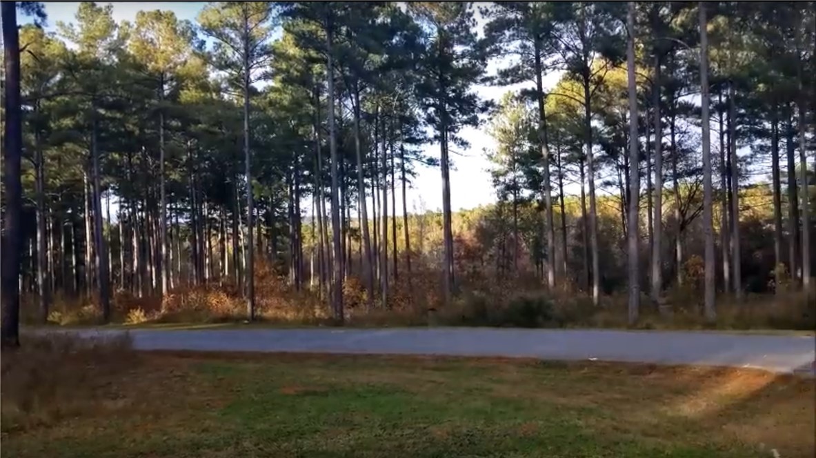 Lot 26 Harbor Point Road Seneca, SC 29672 - Photo 3 of 15 Gallery Image 3
