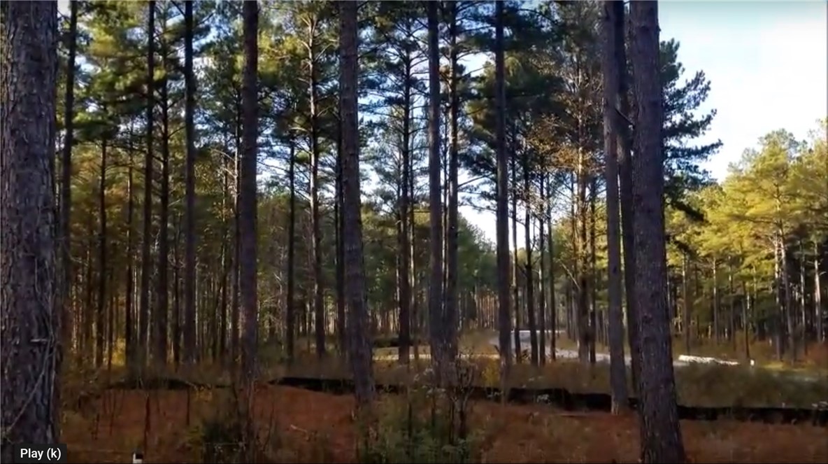 Lot 26 Harbor Point Road Seneca, SC 29672 - Photo 6 of 15 Gallery Image 6