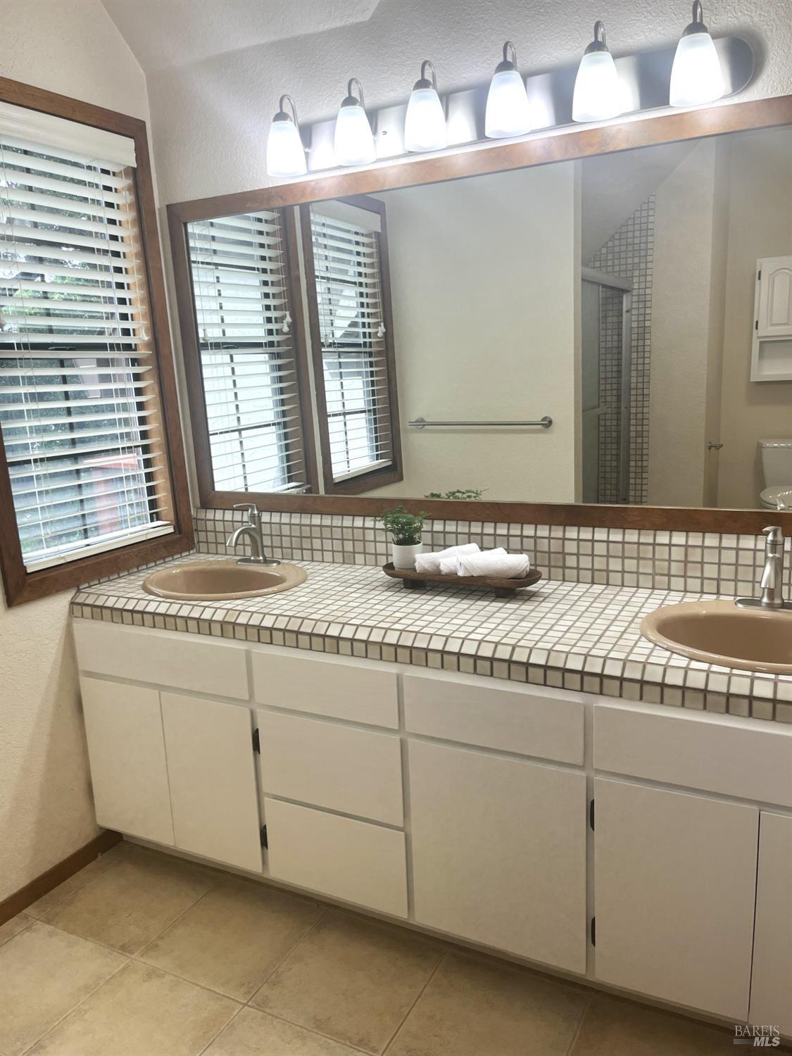 3541 Golf View Terrace Santa Rosa, CA 95405 - Photo 40 of 110 a bathroom with a sink and a mirror