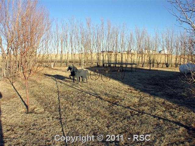 14150 Garrett Road Peyton, CO 80831 - Photo 14 of 16