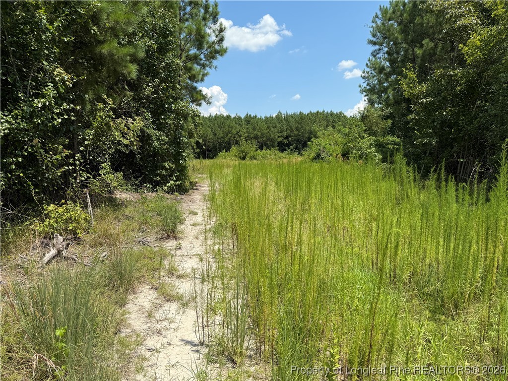 0 Tabor Church Road Fayetteville, NC 28312 - Photo 3 of 9 a view of lake from a yard