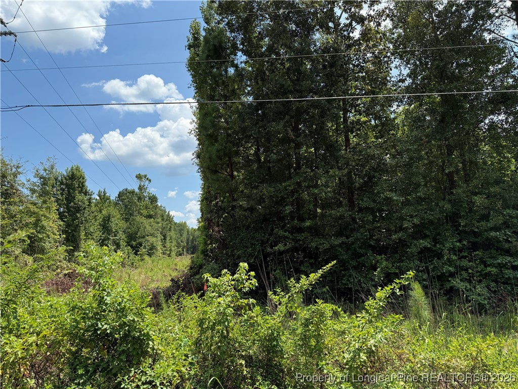 0 Tabor Church Road Fayetteville, NC 28312 - Photo 4 of 9 a view of a garden