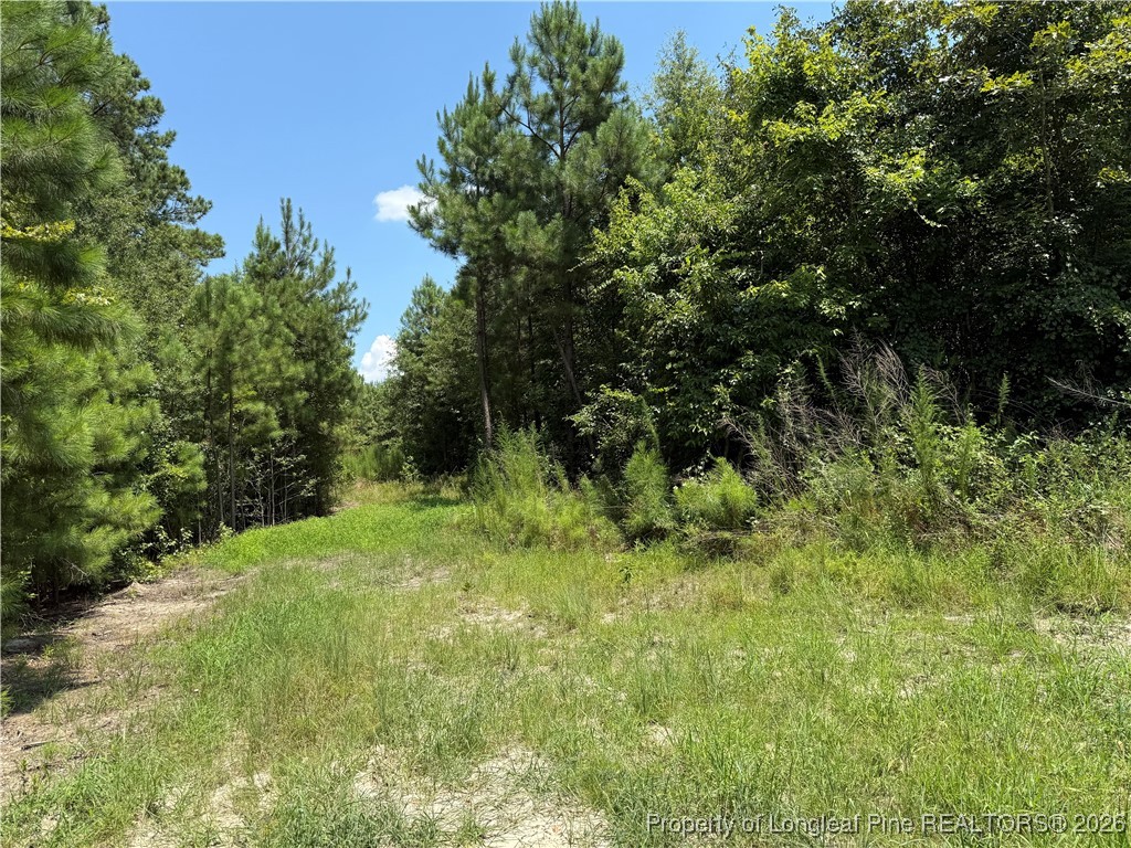 0 Tabor Church Road Fayetteville, NC 28312 - Photo 6 of 9 a view of a lush green space