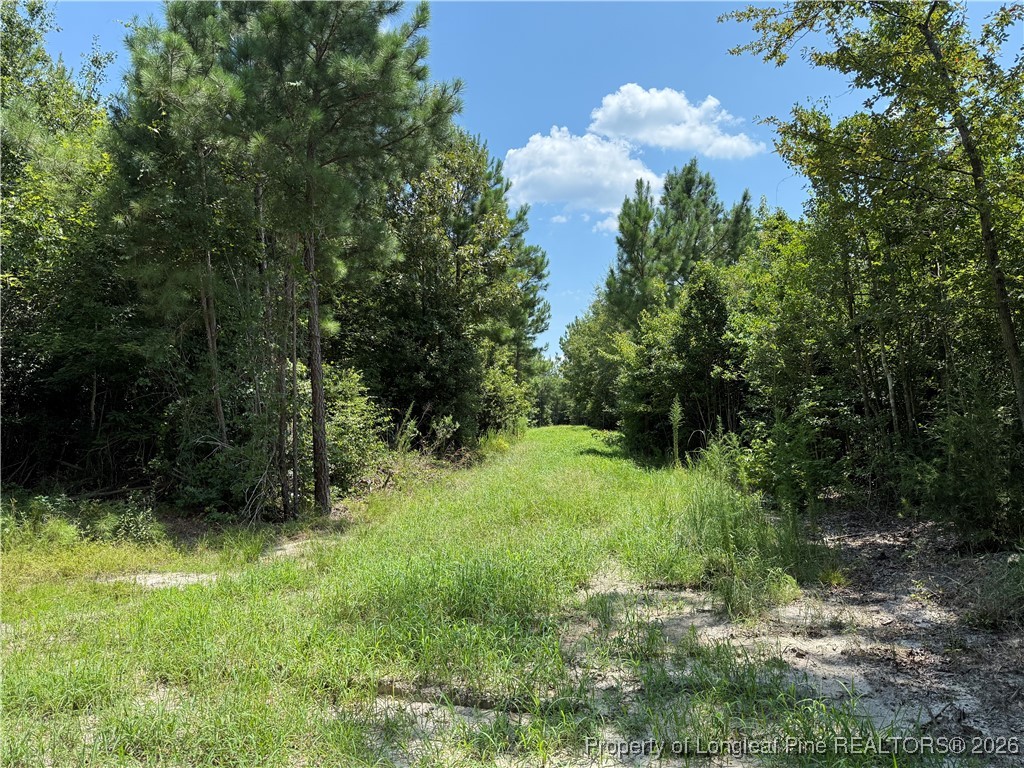 0 Tabor Church Road Fayetteville, NC 28312 - Photo 8 of 9 a view of a lush green yard