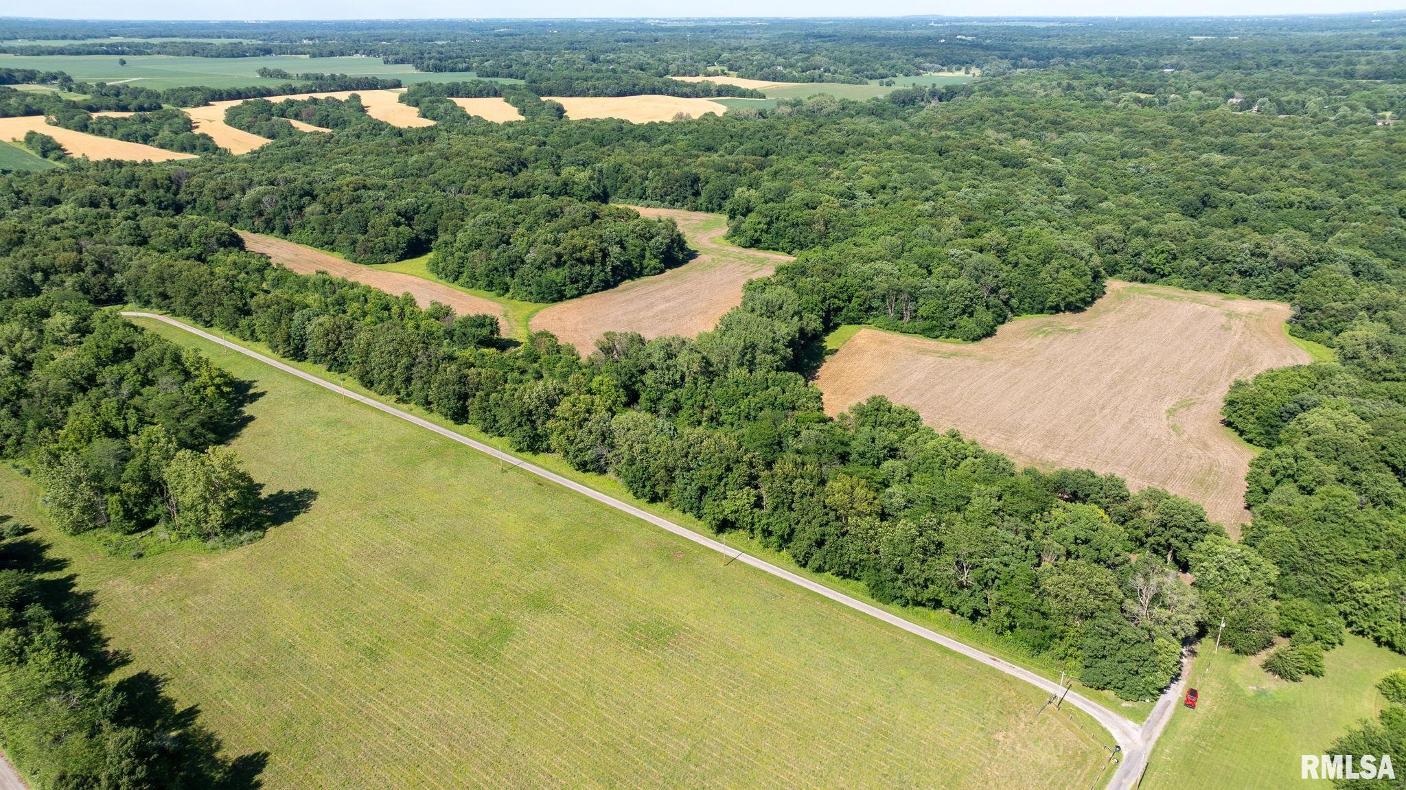 8543 Frey Road Pleasant Plains, IL 62677 - Photo 10 of 23