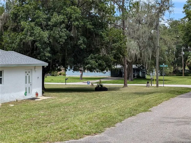 a view of a park with large trees
