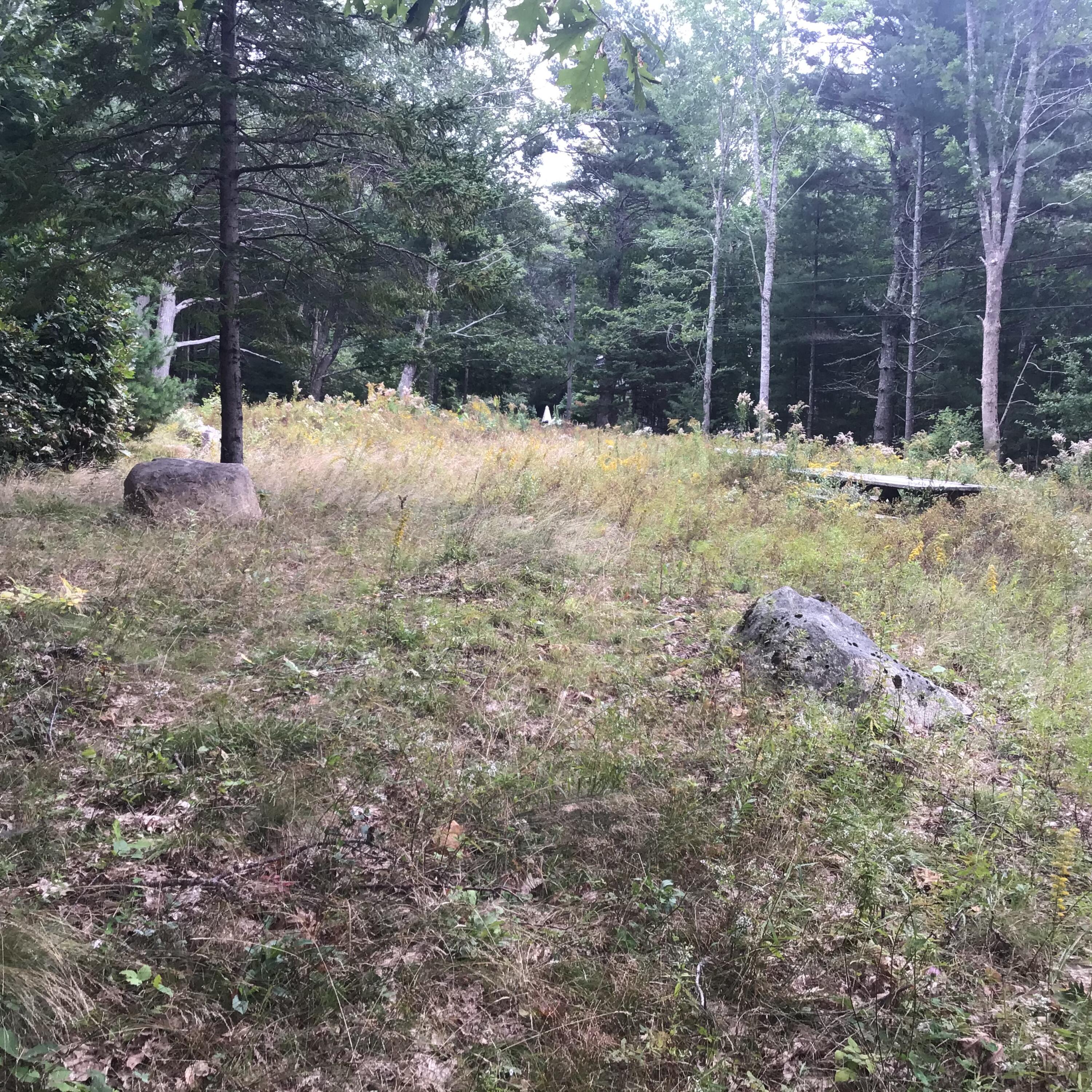 1 Giant Slide Road Mount Desert, ME 04660 - Photo 1 of 12 IMG_4453