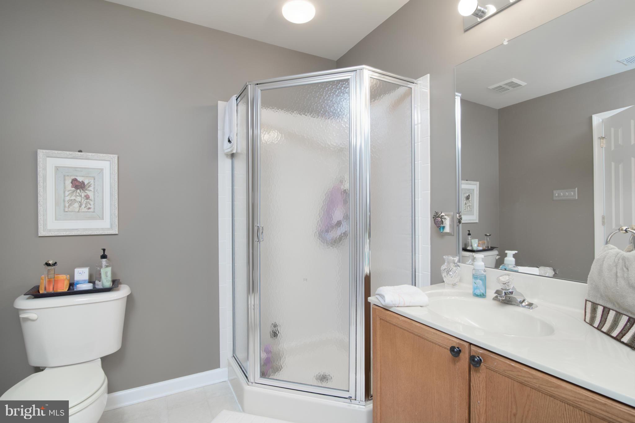 111 Jason's Ridge Smithsburg, MD 21783 - Photo 20 of 30 Bath (Master)