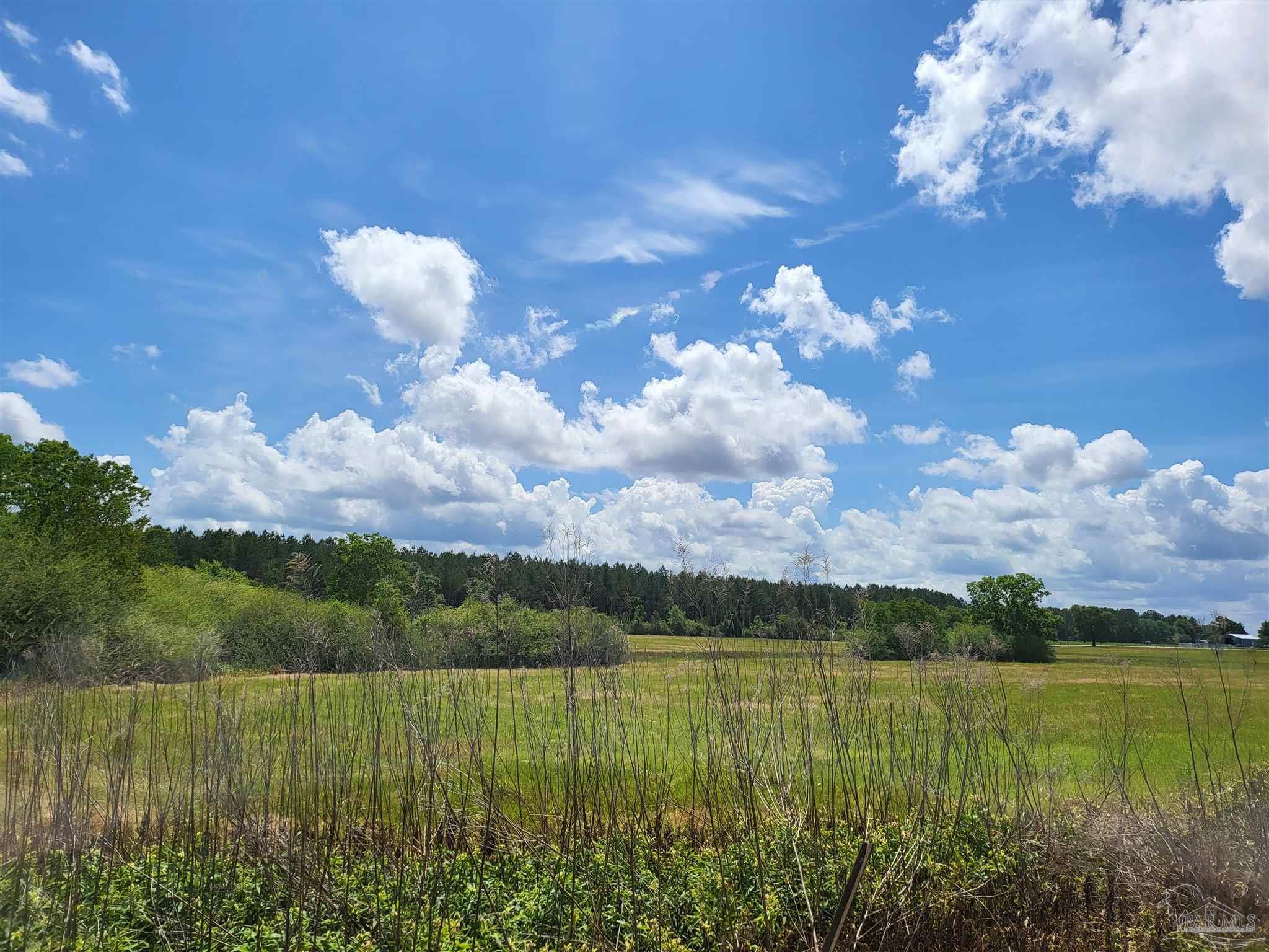 6950 Kansas Road McDavid, FL 32568 - Photo 13 of 14 Gallery Image 13