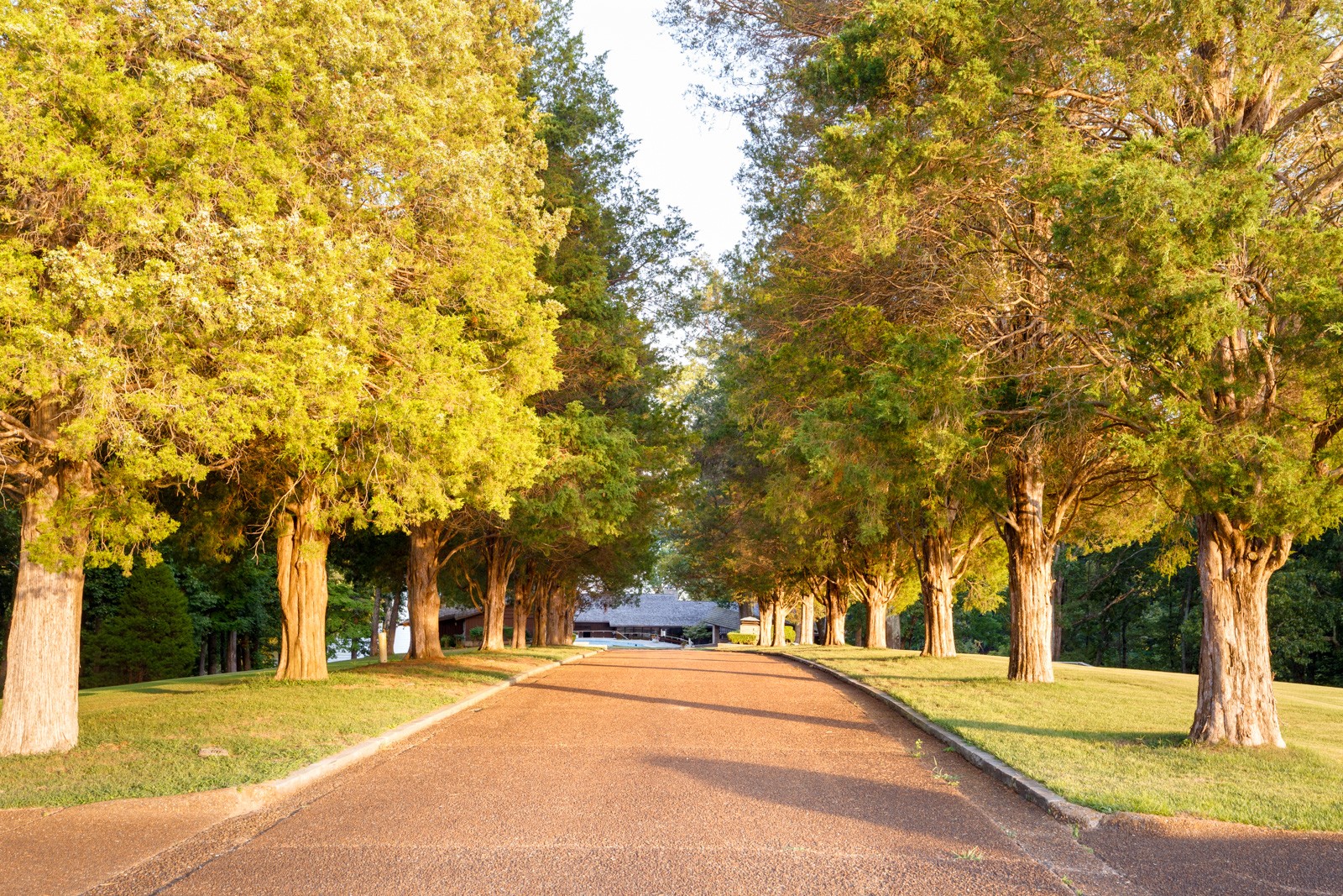 300 Elton Darby Road Florence, AL 35630 - Photo 2 of 66 a tall building with trees in front of it