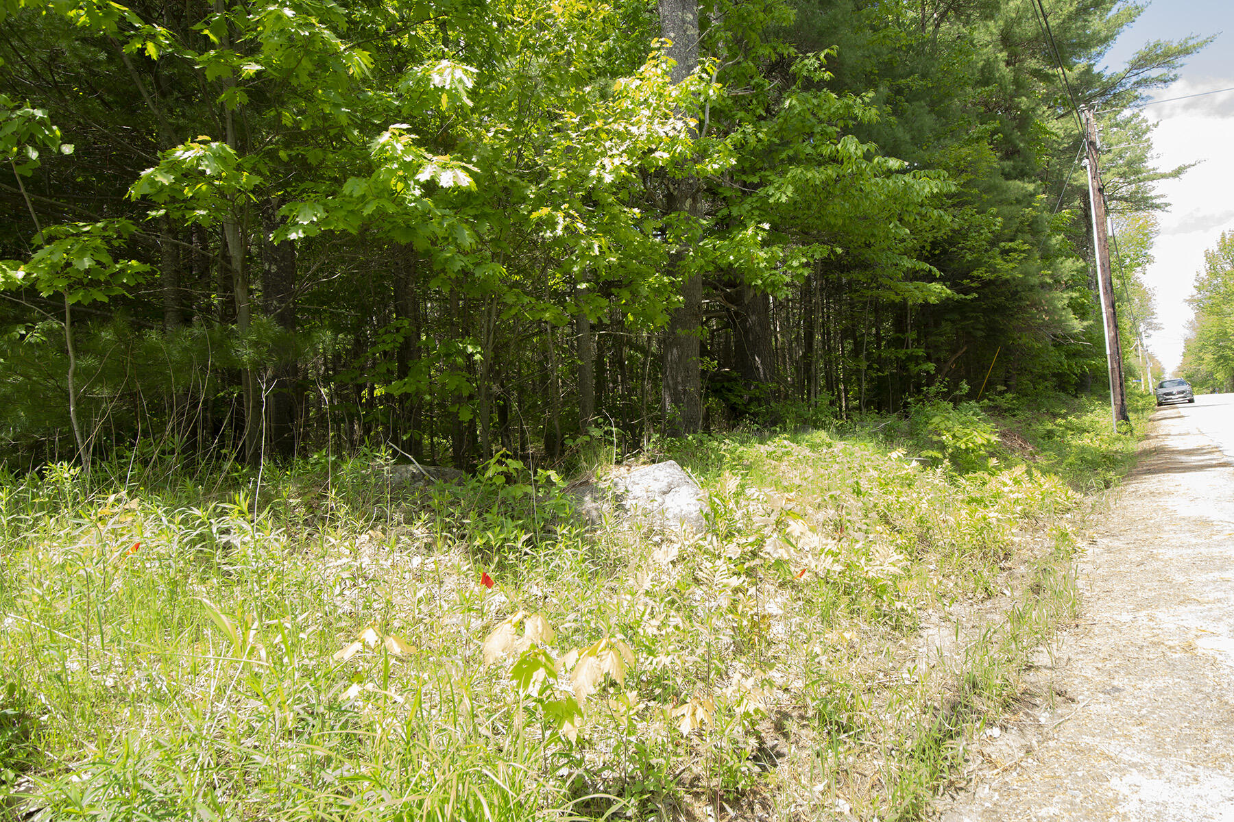 Lot 1 Plummer Road Richmond, ME 04357 - Photo 3 of 16 Looking up toward Alexander Reed Rd