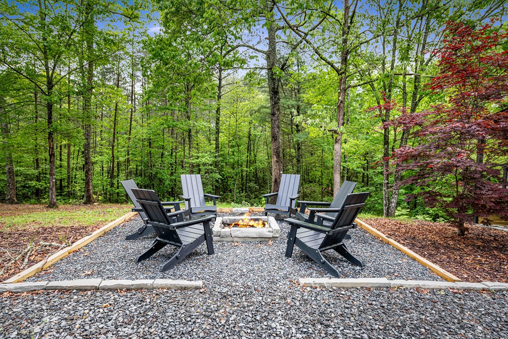 270 Bench Leg Road Mineral Bluff, GA 30559 - Photo 46 of 52 Gallery Image 46
