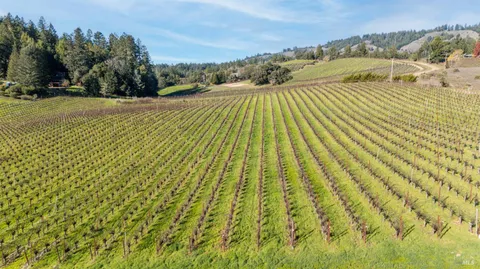 $975,000 | 2300 Guntly Road, Philo, CA 95466