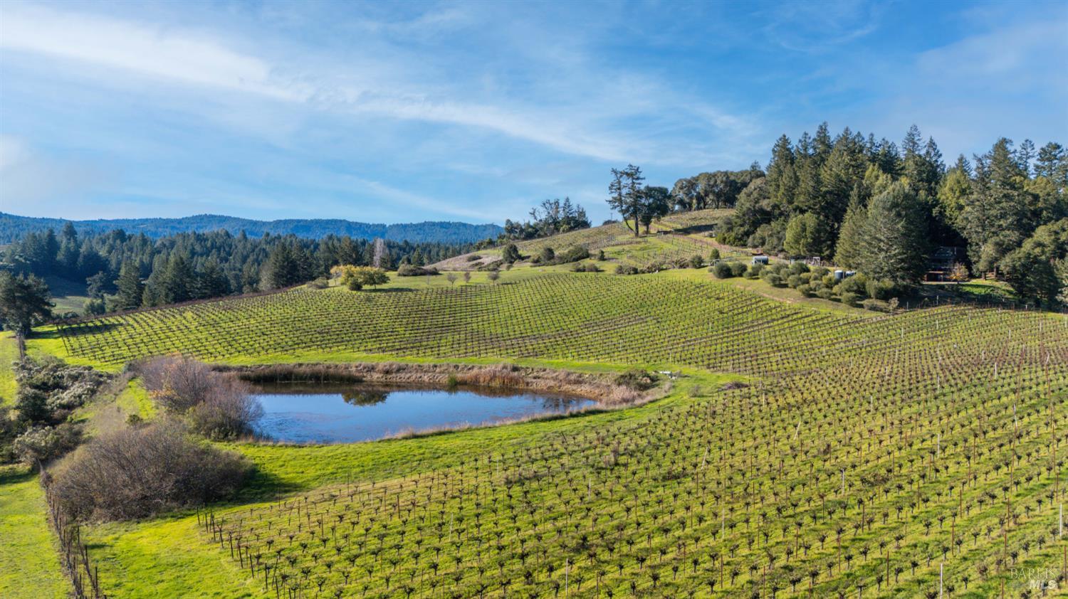 2300 Guntly Road Philo, CA 95466 - Photo 12 of 17