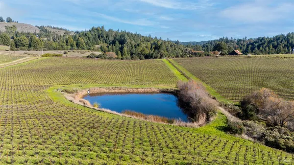 a view of a lake with a yard