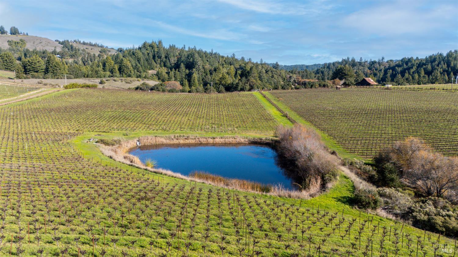 2300 Guntly Road Philo, CA 95466 - Photo 8 of 17