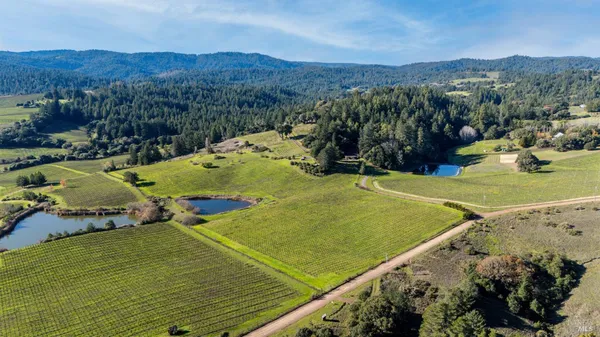 a view of a field with mountains in the background